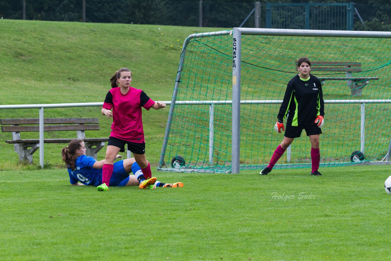 Bild 397 - B-Juniorinnen FSG BraWie 08 - JSG Sandesneben : Ergebnis: 2:0